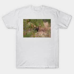 Bull Moose in Algonquin Park, Canada T-Shirt